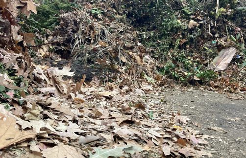 Nurturing the Earth: The Story Behind Smart Resources Group’s Smart Garden Blended Topsoil