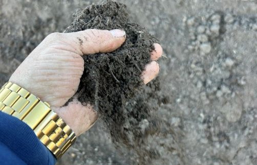 Premium Blended Topsoil – Professional-Grade Soil for Superior Garden Performance