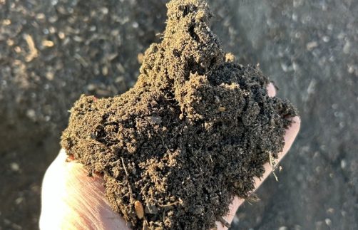 Smart Garden Blend – The Perfect Budget-Friendly Soil for Thriving Gardens